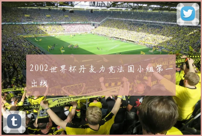 2002世界杯丹麦力克法国小组第一出线